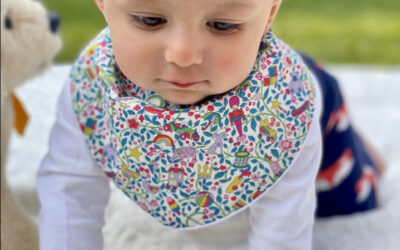Facts about Dribblebuster Best Baby Bibs